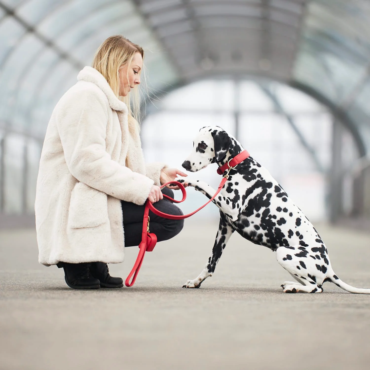 Leren halsband voor honden Chili (Rood) - Image 18