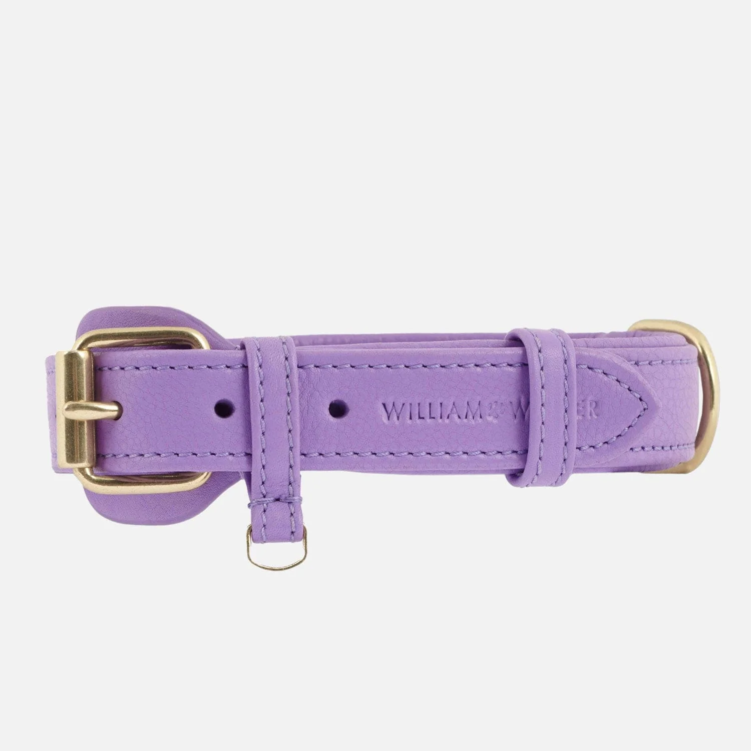 Leren halsband voor honden Lavender (Paars)