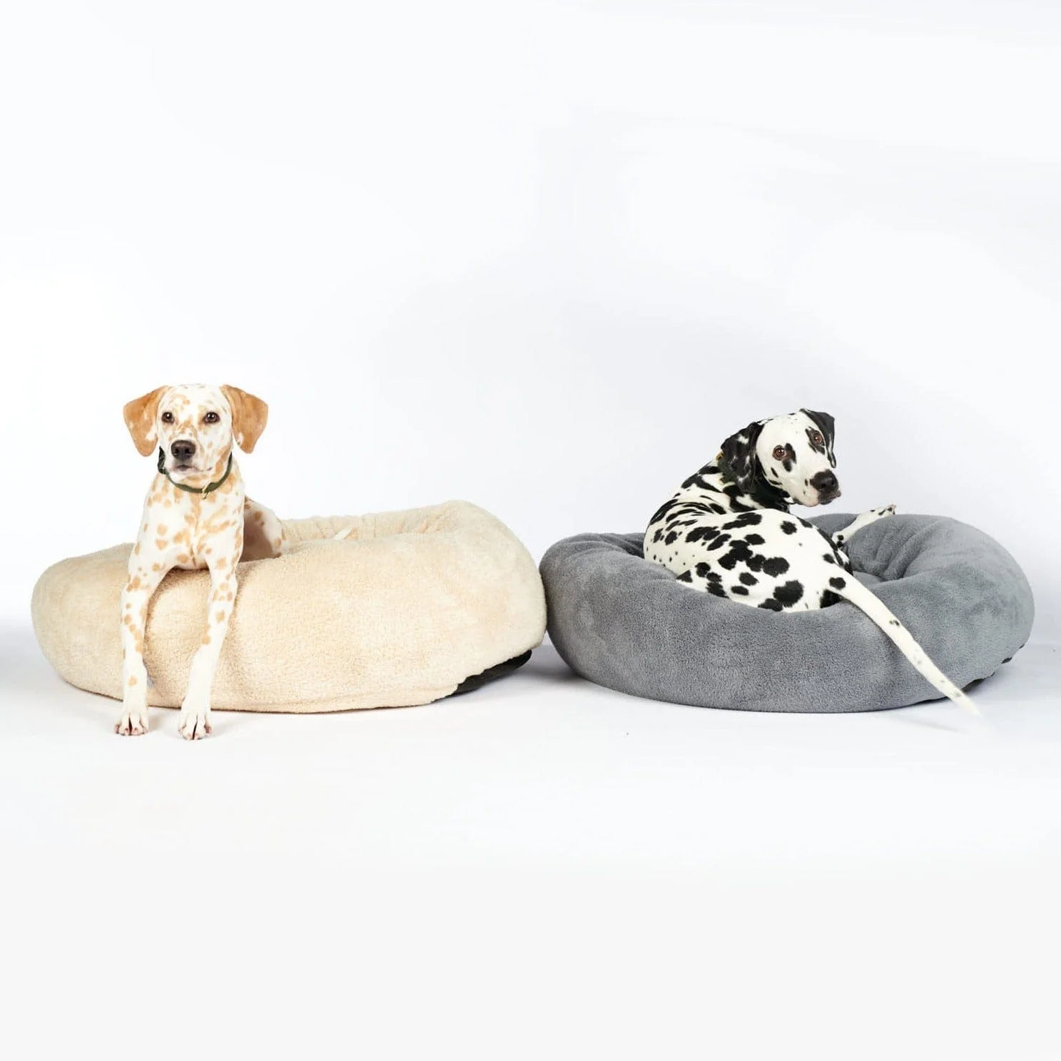 Gezellig hondenmand Comfy Sand (Beige) - Image 12