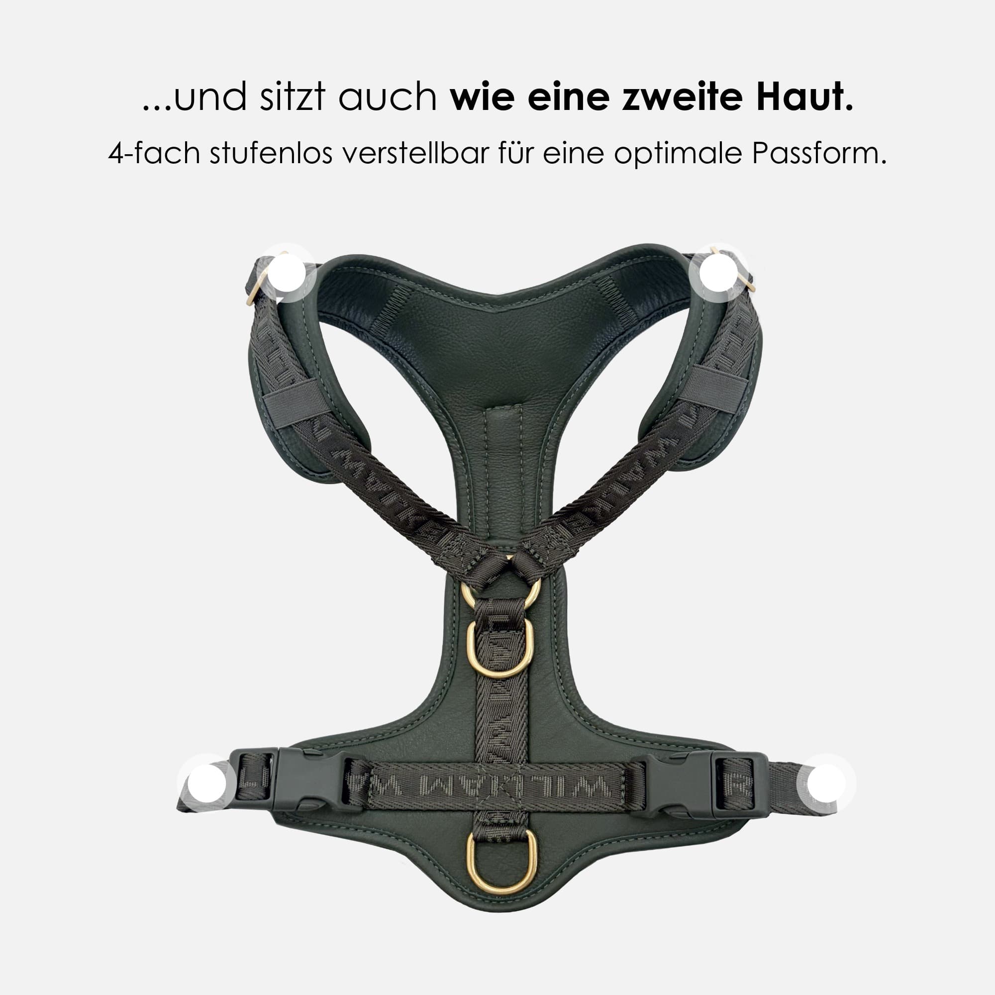 Hoogwaardig leren Y-tuig Plain - Image 20
