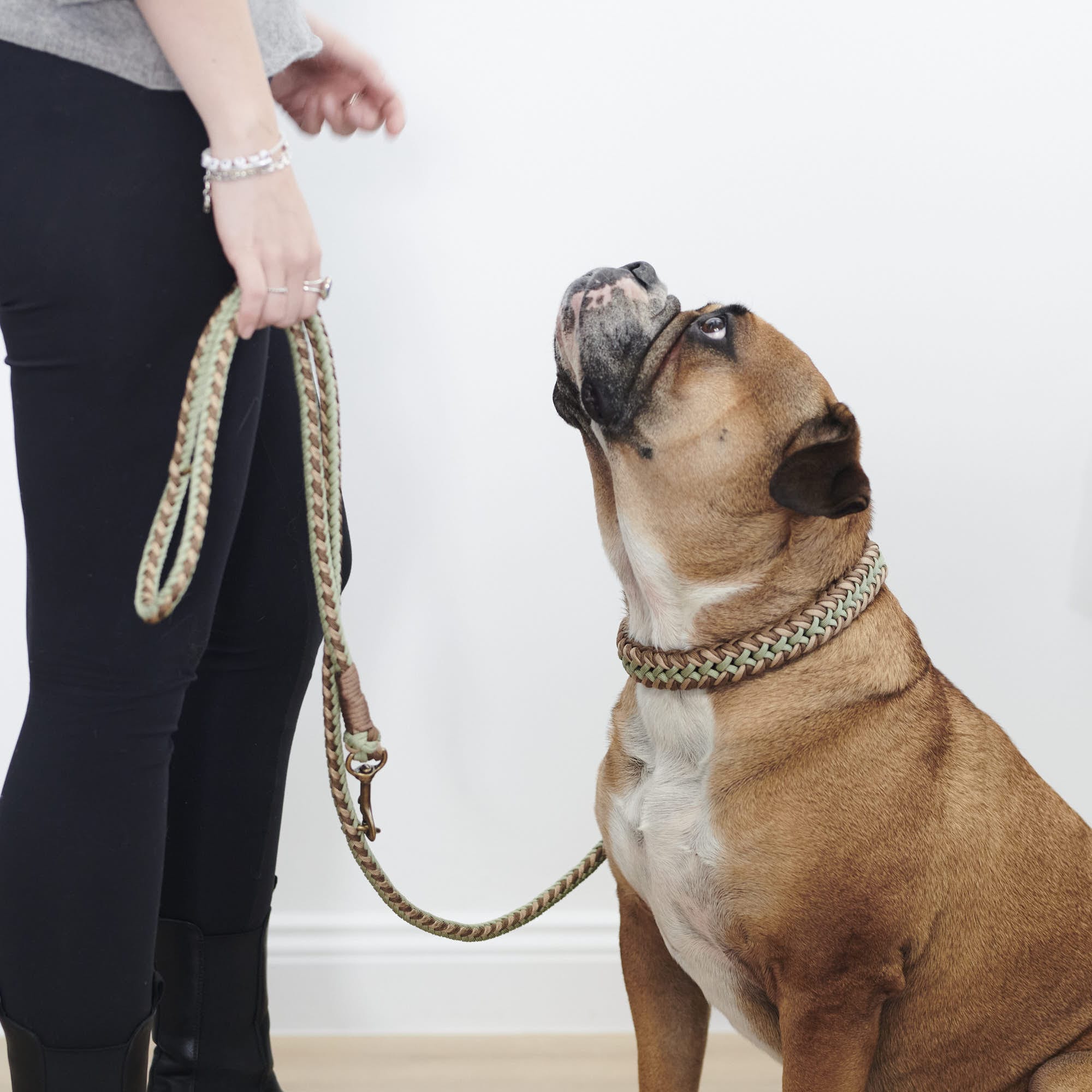 Paracord hondenriem Shire - Image 14