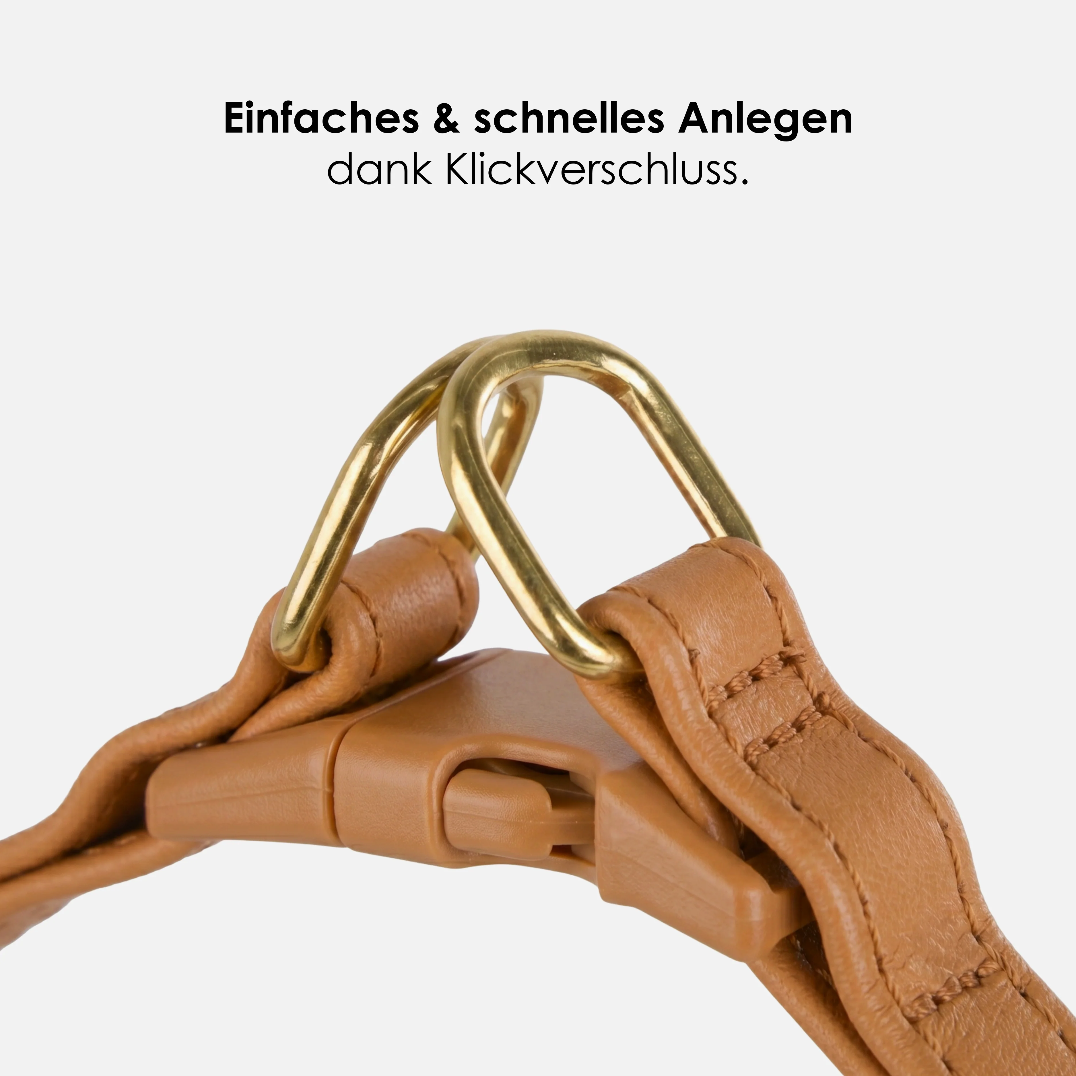 Step-In Leren Hondentuig Pico voor Kleine Honden - Image 79