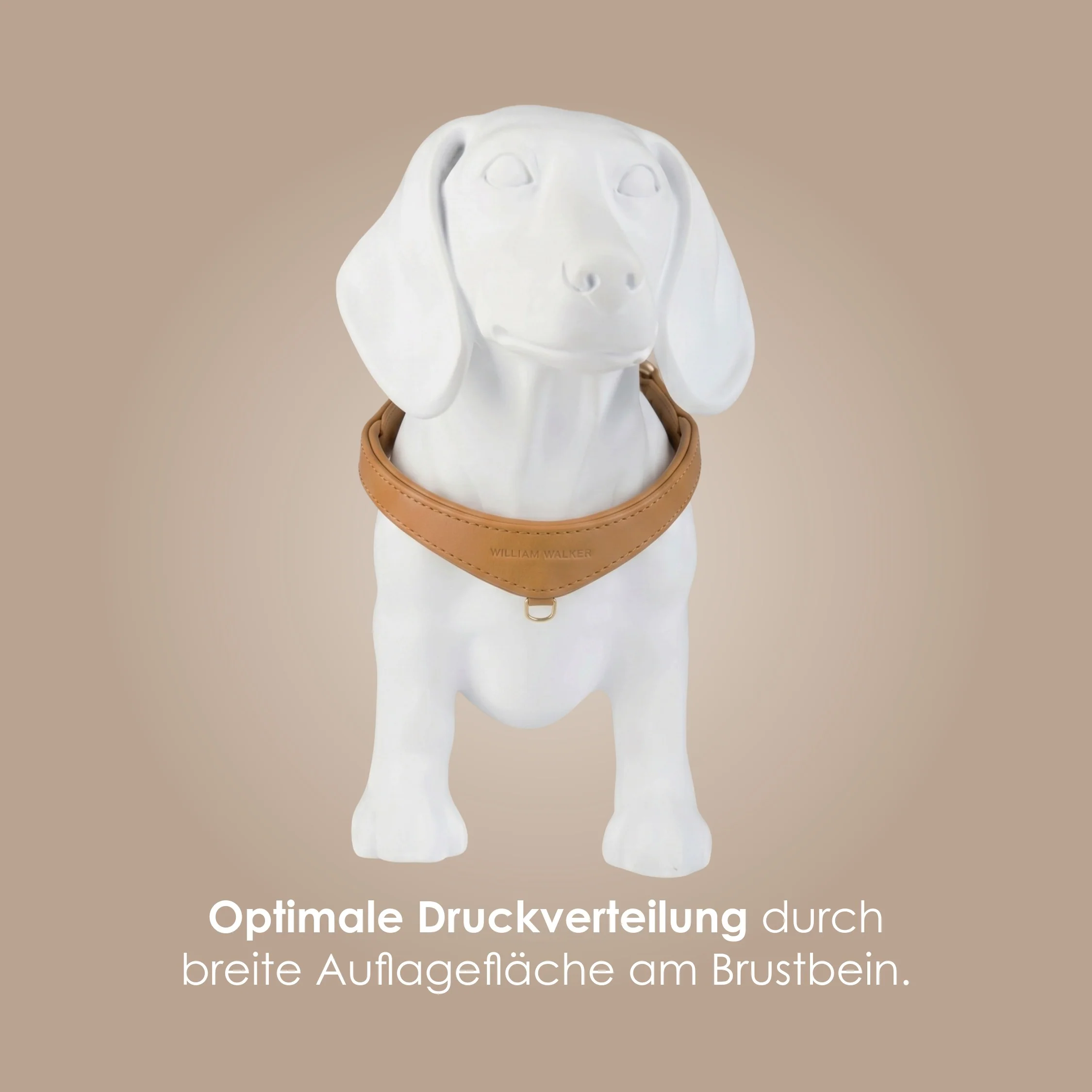 Step-In Leren Hondentuig Pico voor Kleine Honden - Image 81