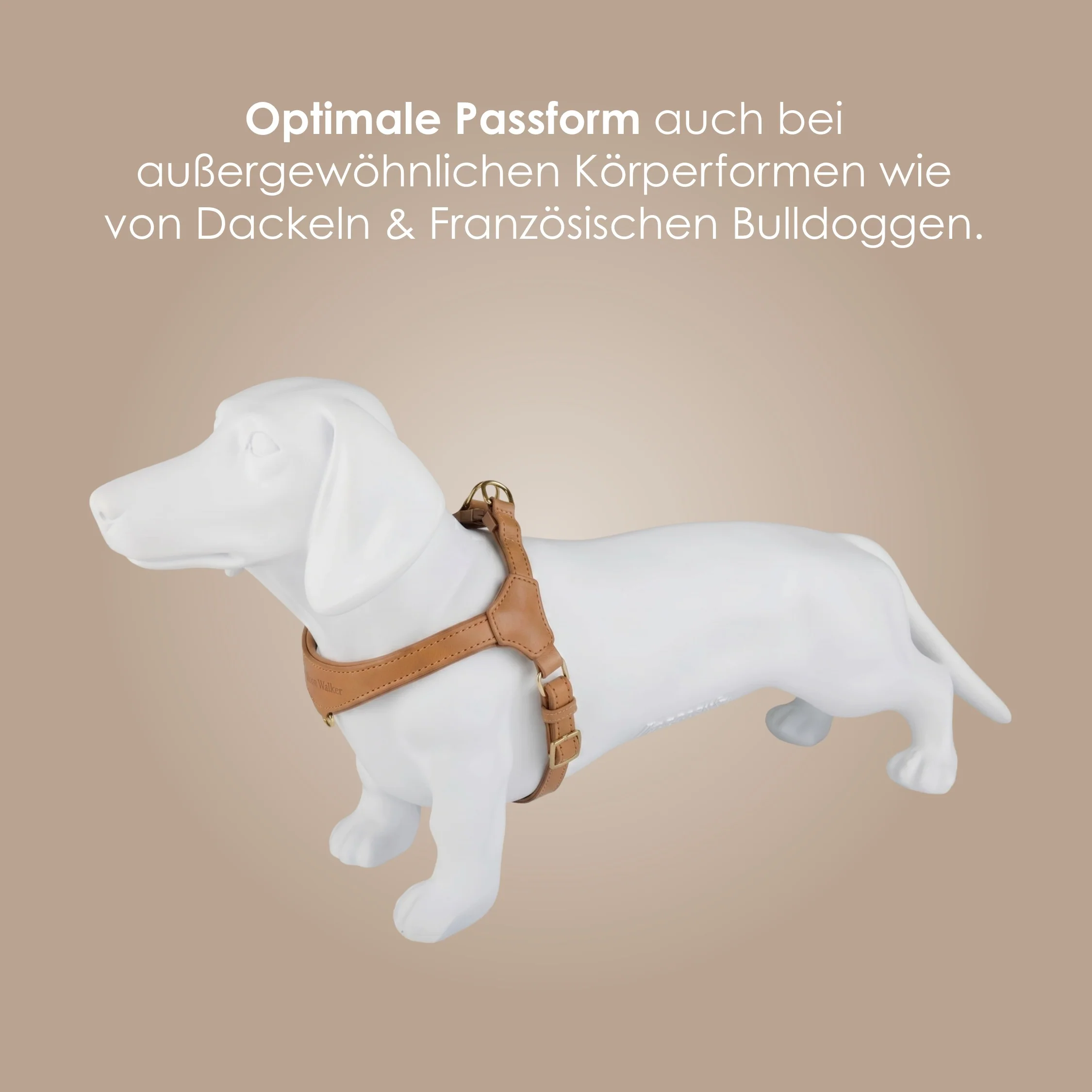 Step-In Leren Hondentuig Pico voor Kleine Honden - Image 83