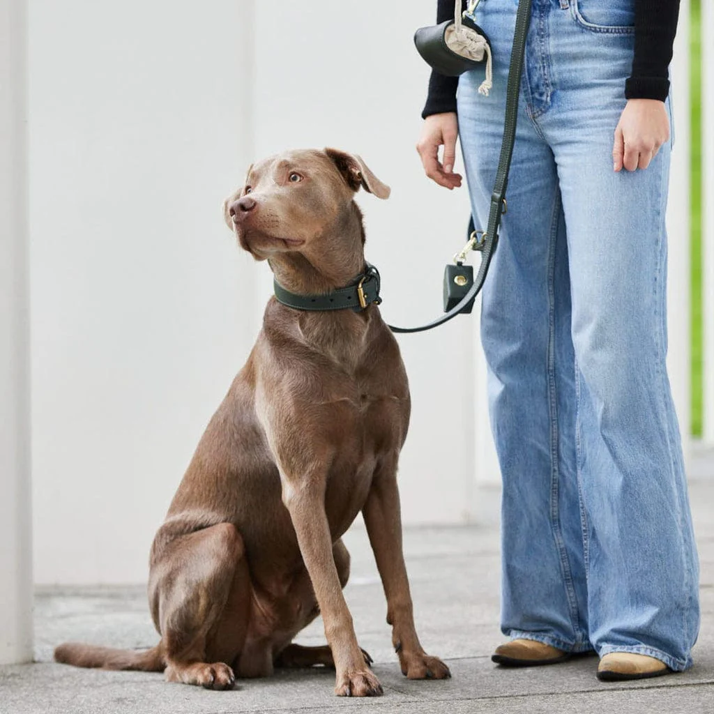 Premium Walking Set van leer - Image 27