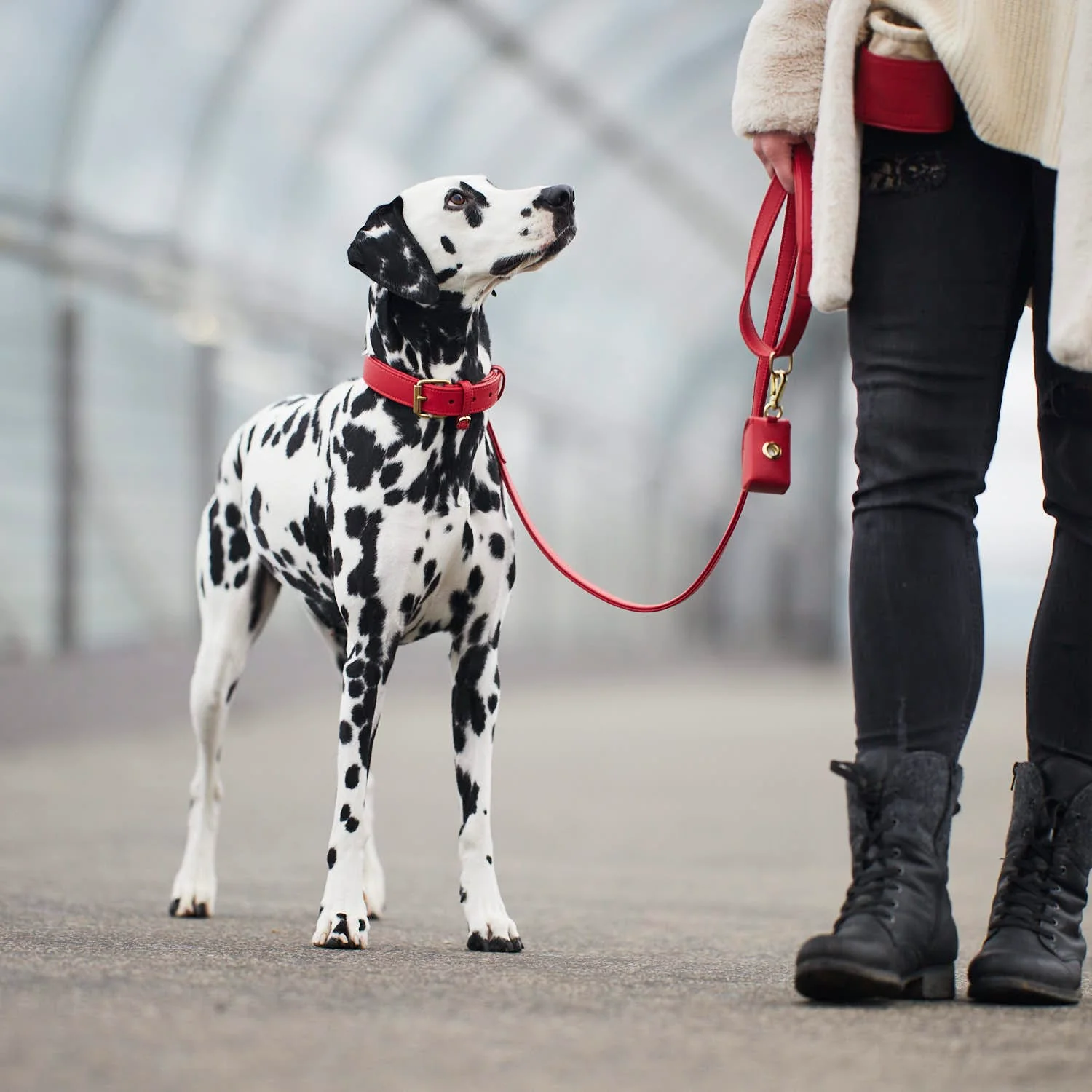 Premium Walking Set van leer - Image 36