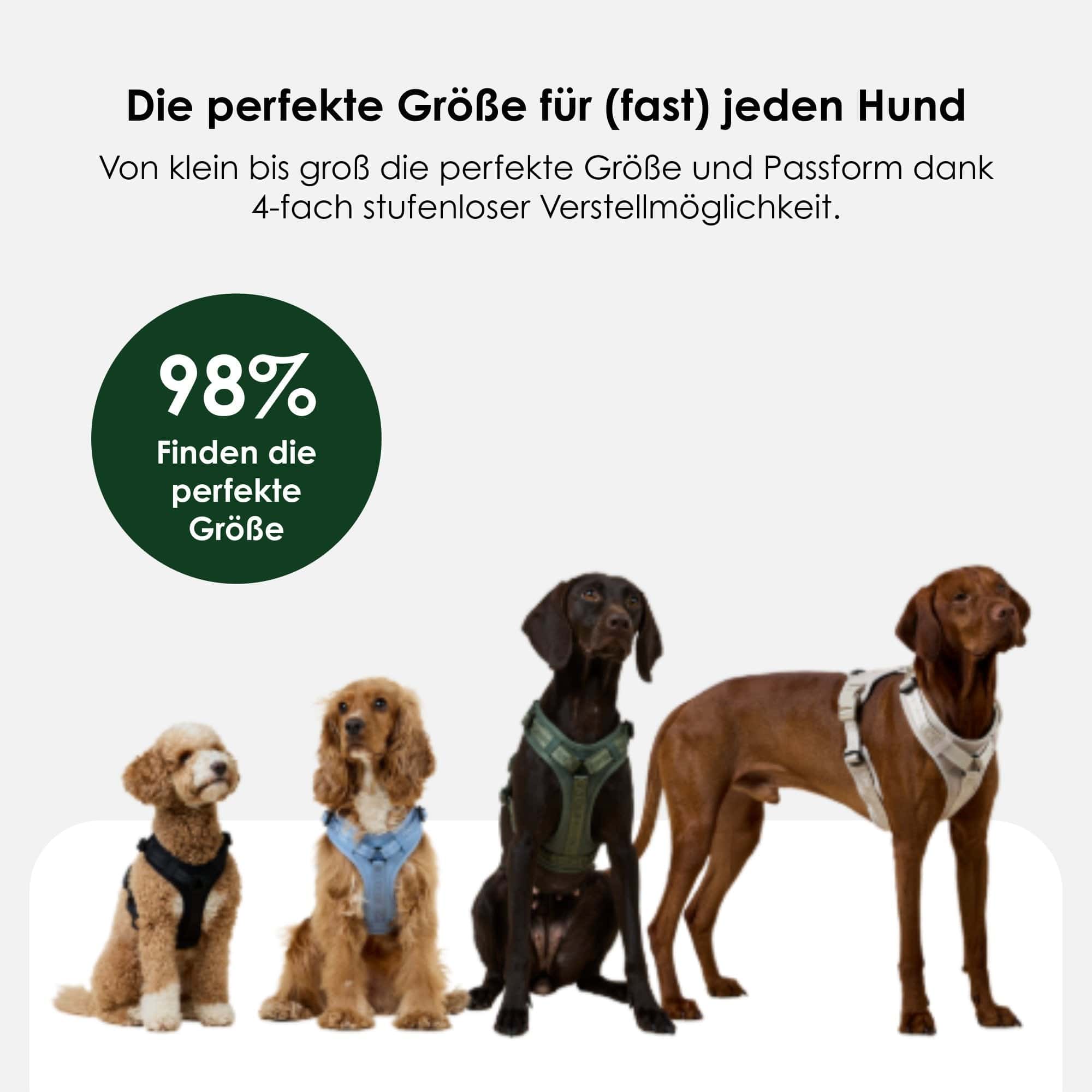 Hondentuig Bundle Configurator Apex Collectie - Image 9