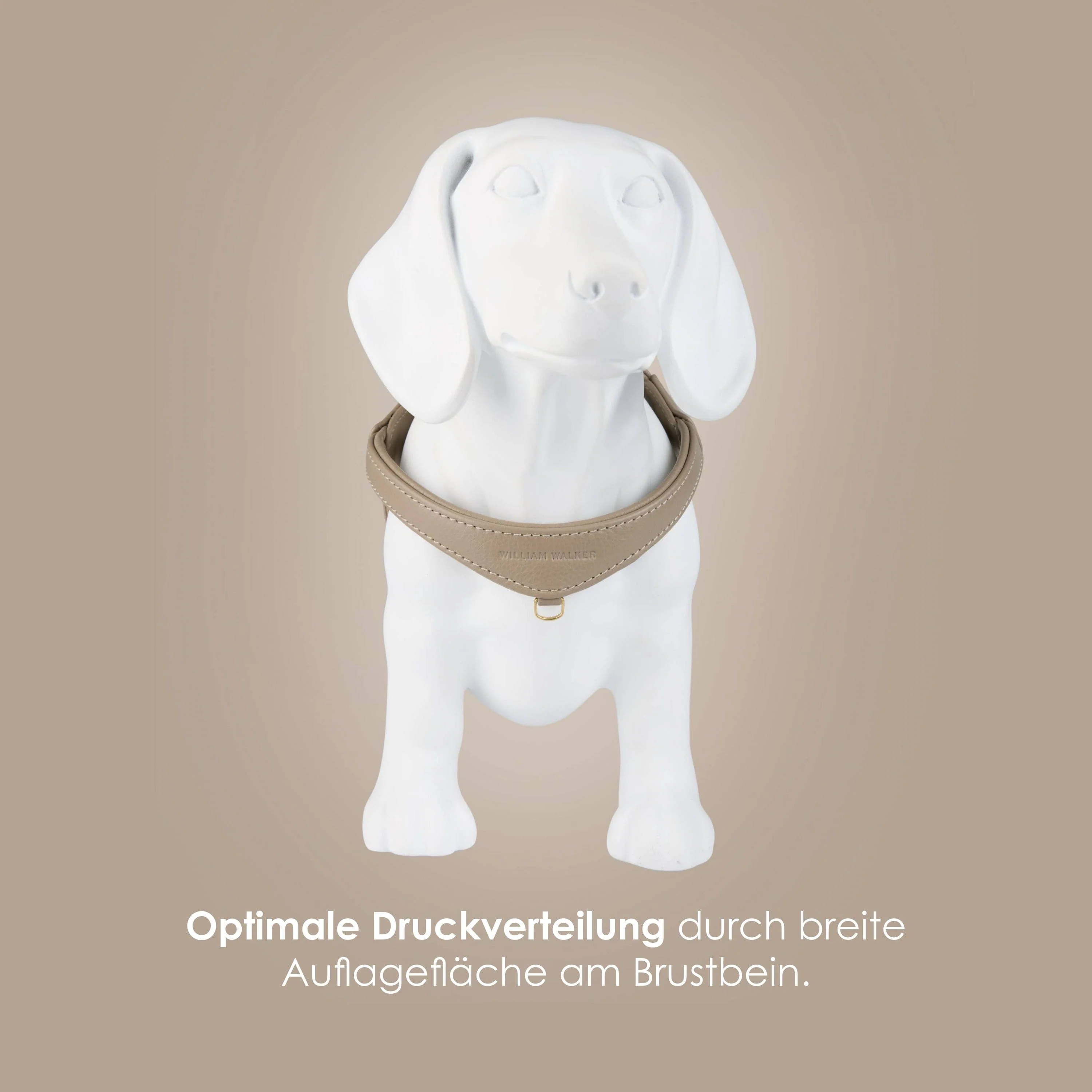Premium Leerbundel Configurator voor kleine honden - Image 7