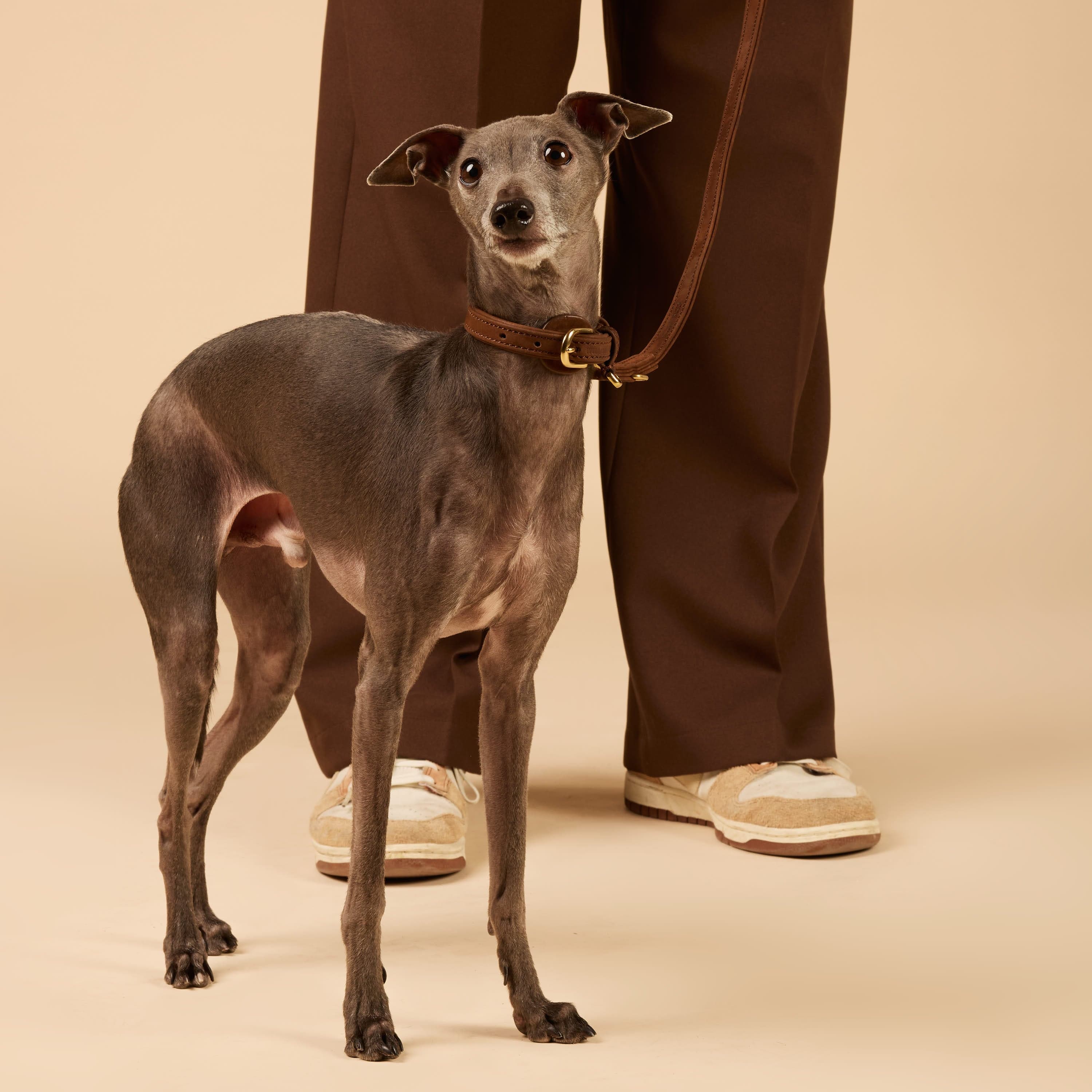 Premium Walking Set uit waterbestendig nubuckleer - Image 9