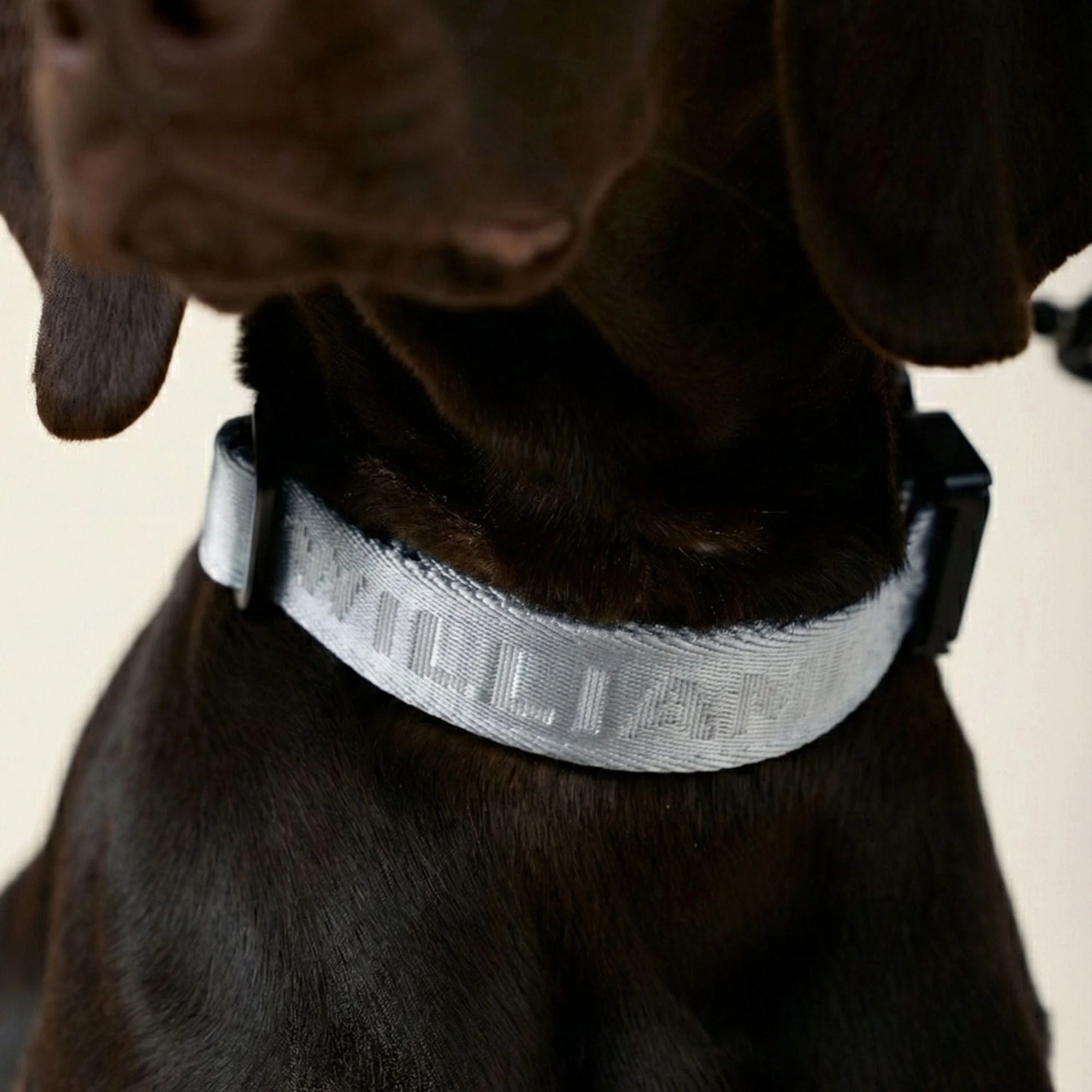 Jacquard Nylon Halsband Lunar (Reflecterend) - Image 10