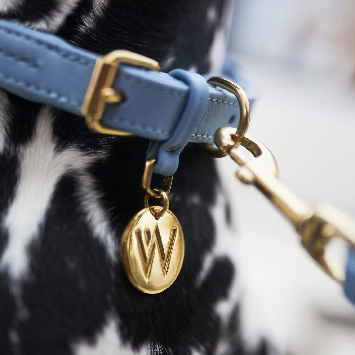 Leren halsband Twisted Sky (Babyblauw) - Image 7