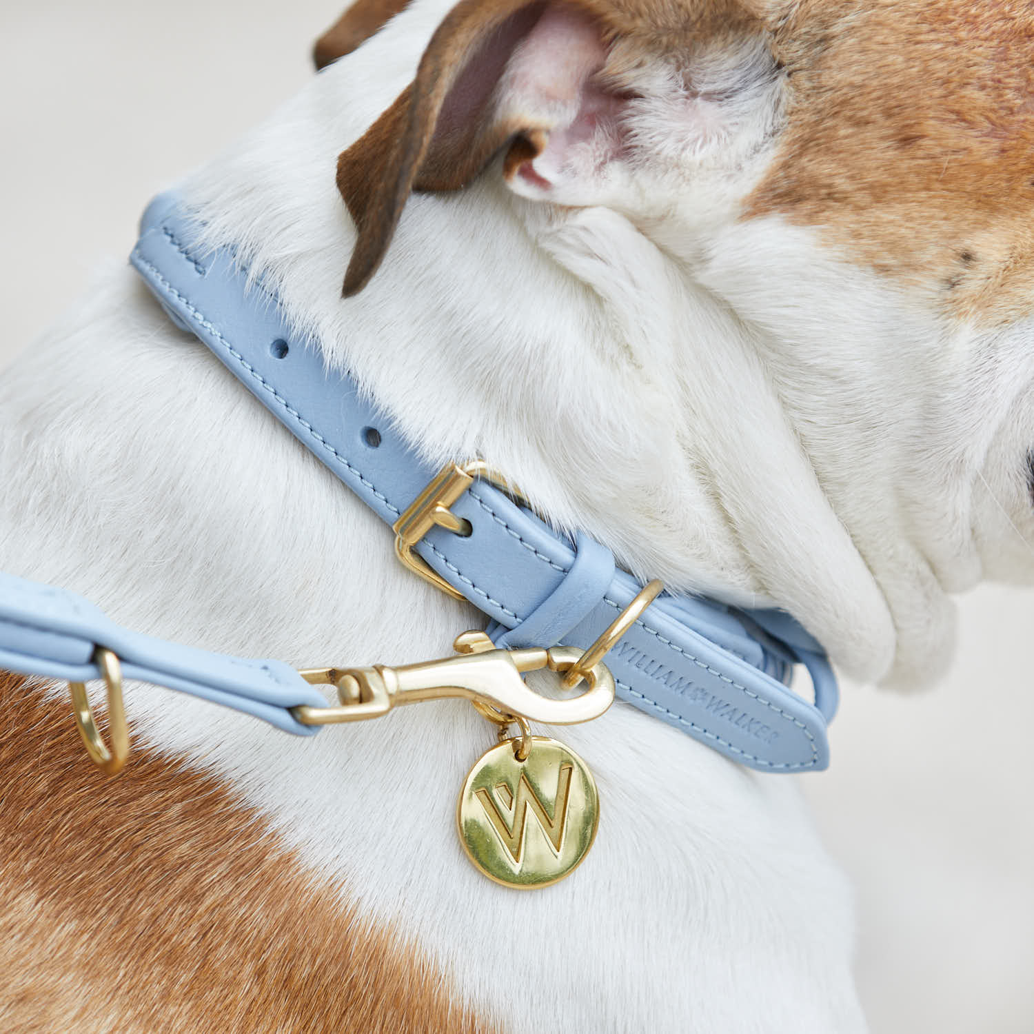 Leren halsband Twisted Sky (Babyblauw) - Image 9