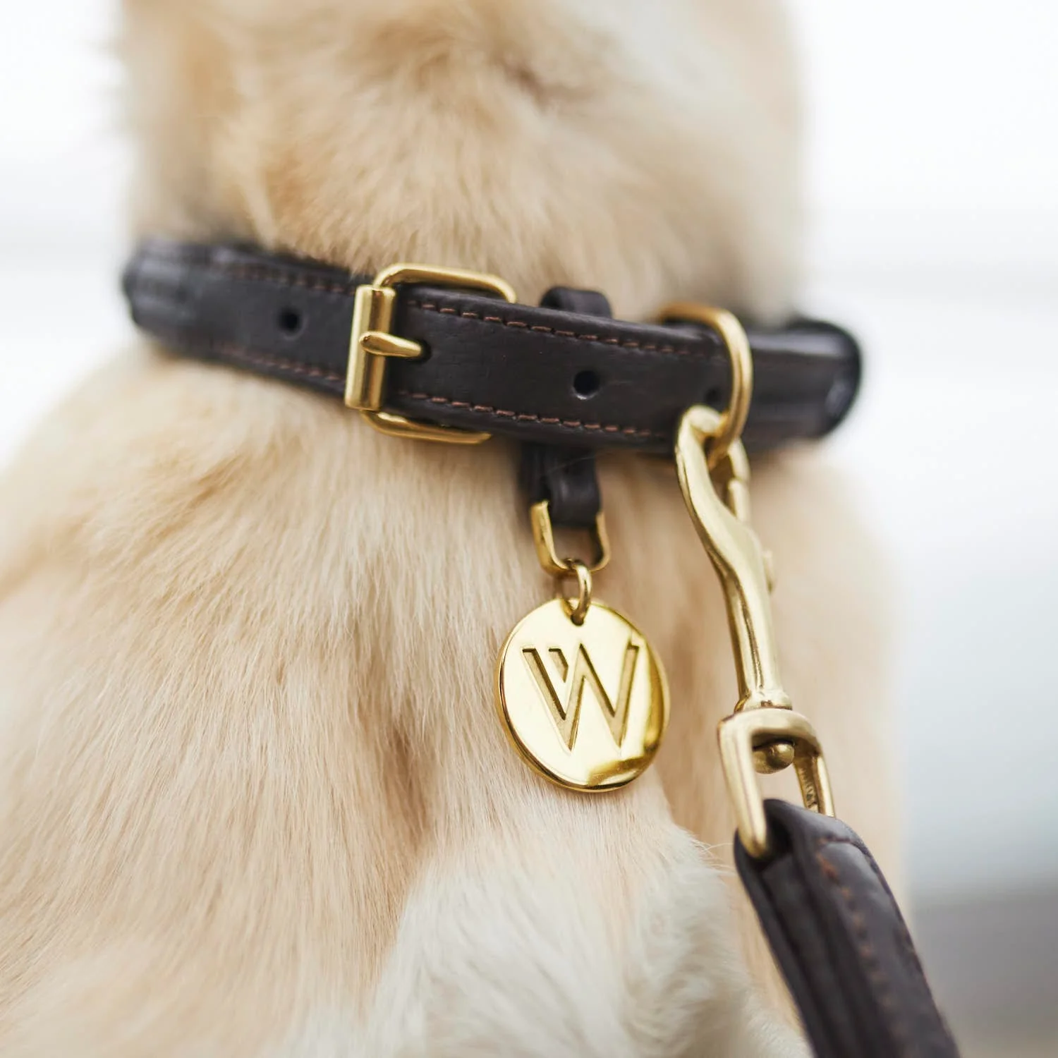 Leren halsband Twisted Earth (Bruin) - Image 8